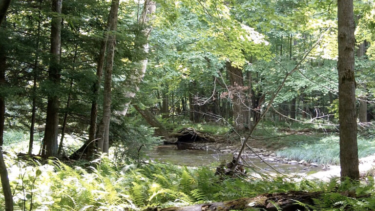Pennsylvania Pastimes